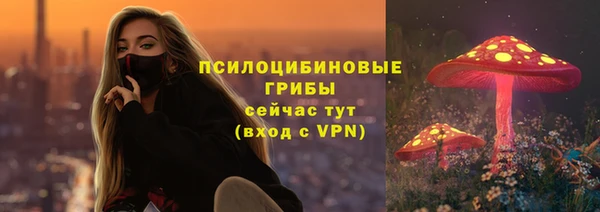 молекула духа Абинск