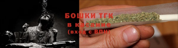молекула духа Абинск